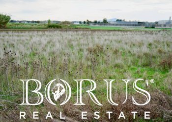 Foto 13 - Terreno agricolo Castel Volturno - foto 13