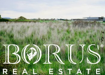 Foto 14 - Terreno agricolo Castel Volturno - foto 14