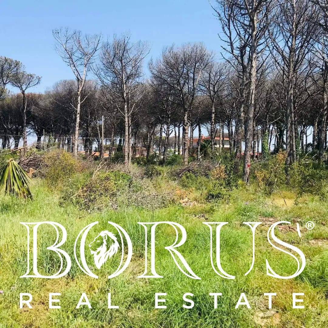 Foto 2 - Terreno agricolo Viale Pitloò, Castel Volturno - foto 2