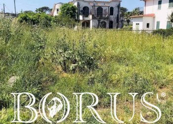 Foto 1 - Terreno agricolo Viale Pitloò, Castel Volturno - foto 1