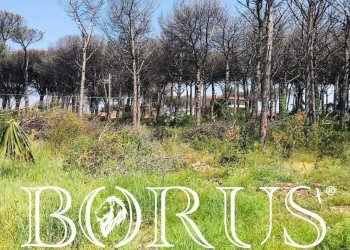 Foto 2 - Terreno agricolo Viale Pitloò, Castel Volturno - foto 2