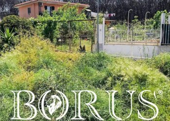 Foto 4 - Terreno agricolo Viale Pitloò, Castel Volturno - foto 4