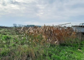 Foto 5 - Independent house Via Potenza, Castel Volturno - photo 5