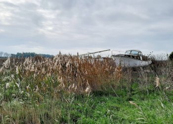 Foto 6 - Independent house Via Potenza, Castel Volturno - photo 6