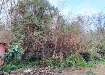 Foto 11 - Independent house Via Potenza, Castel Volturno - photo 11