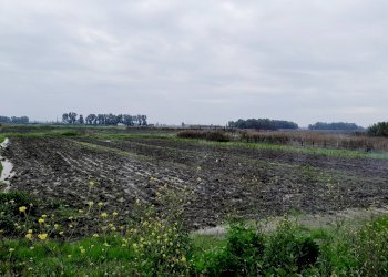 Foto 26 - Independent house Via Potenza, Castel Volturno - photo 26