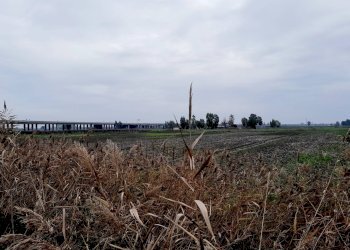 Foto 29 - Independent house Via Potenza, Castel Volturno - photo 29