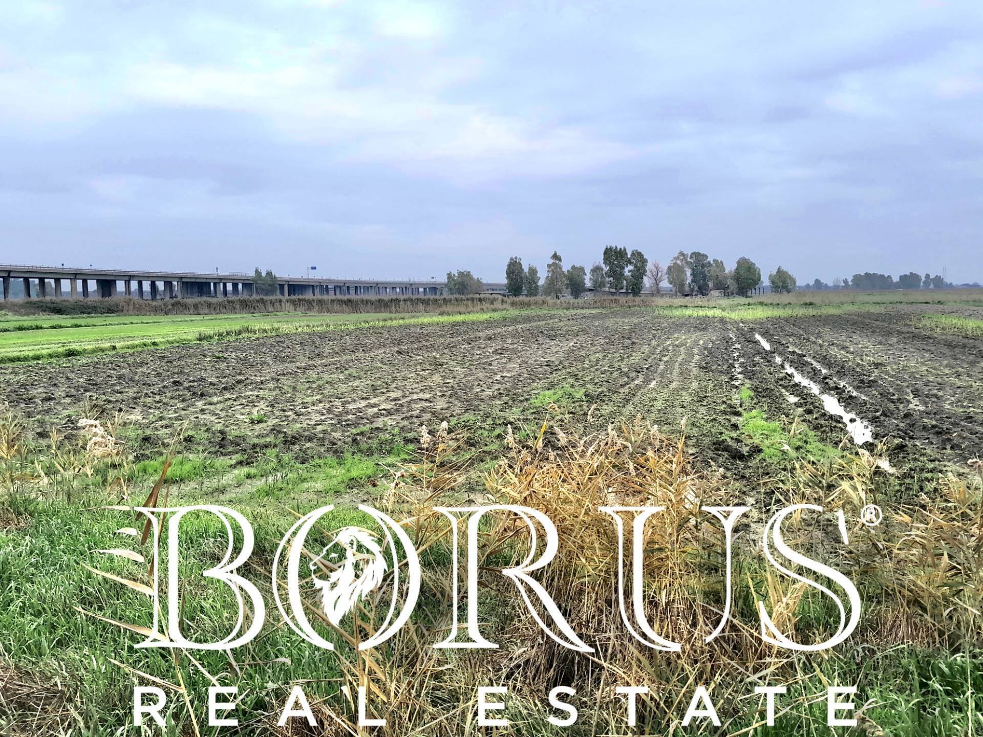 Foto 2 - Terreno agricolo Castel Volturno - foto 2