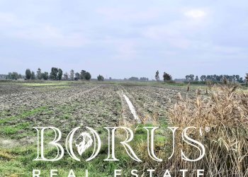 Foto 1 - Terreno agricolo Castel Volturno - foto 1