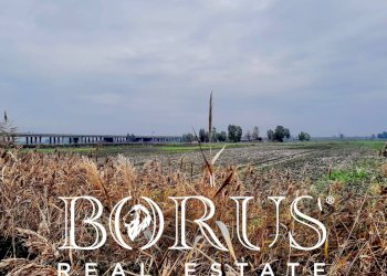 Foto 3 - Terreno agricolo Castel Volturno - foto 3