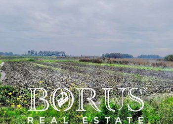 Foto 4 - Terreno agricolo Castel Volturno - foto 4