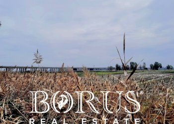 Foto 5 - Terreno agricolo Castel Volturno - foto 5