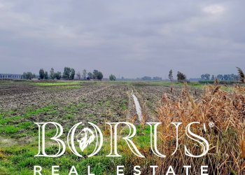 Foto 6 - Terreno agricolo Castel Volturno - foto 6