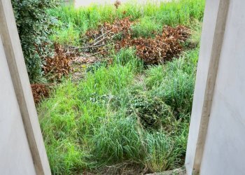 Foto 37 - Independent house Castel Volturno - photo 37