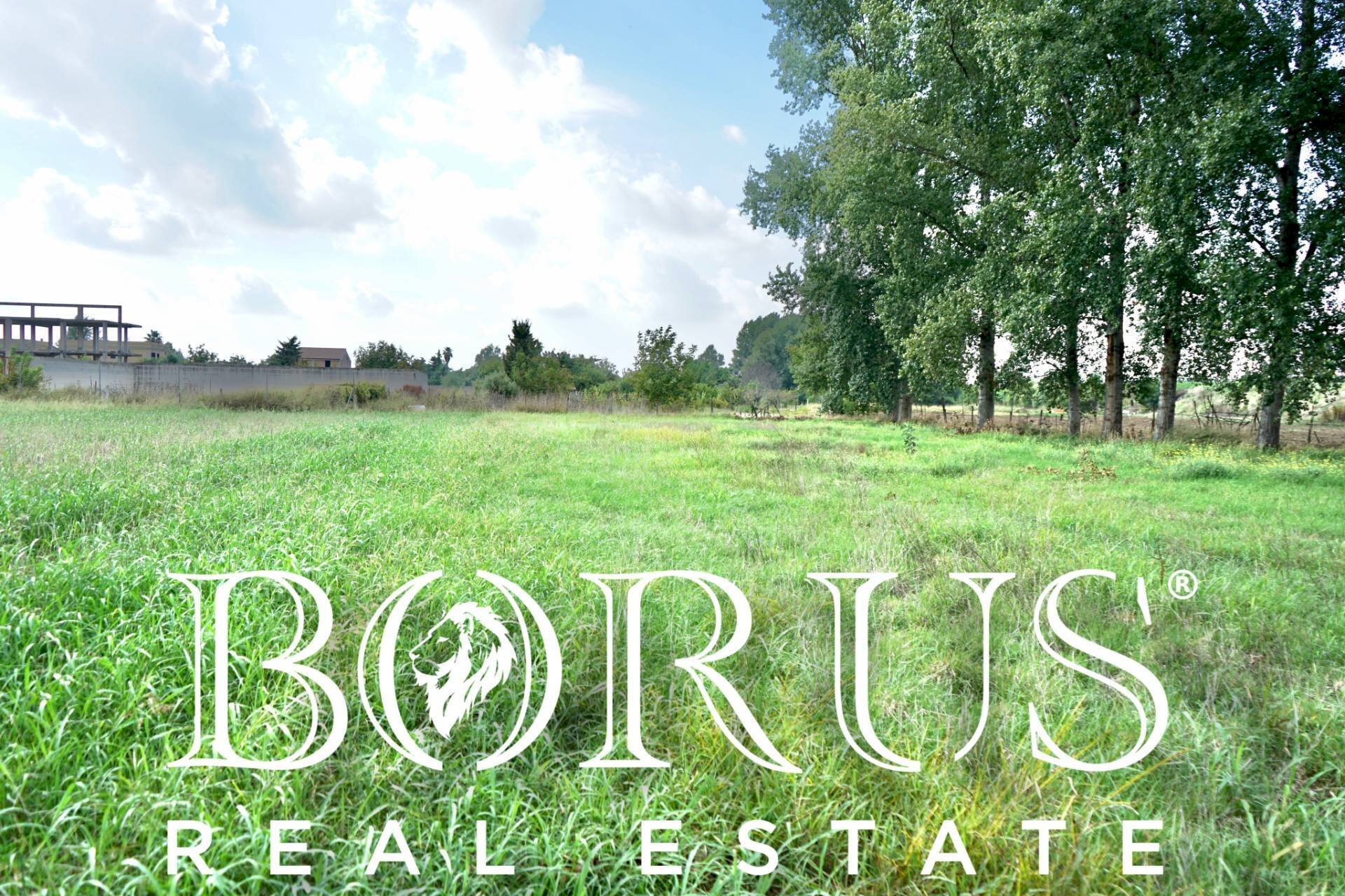 Foto 2 - Agricultural land Casal di Principe - photo 2