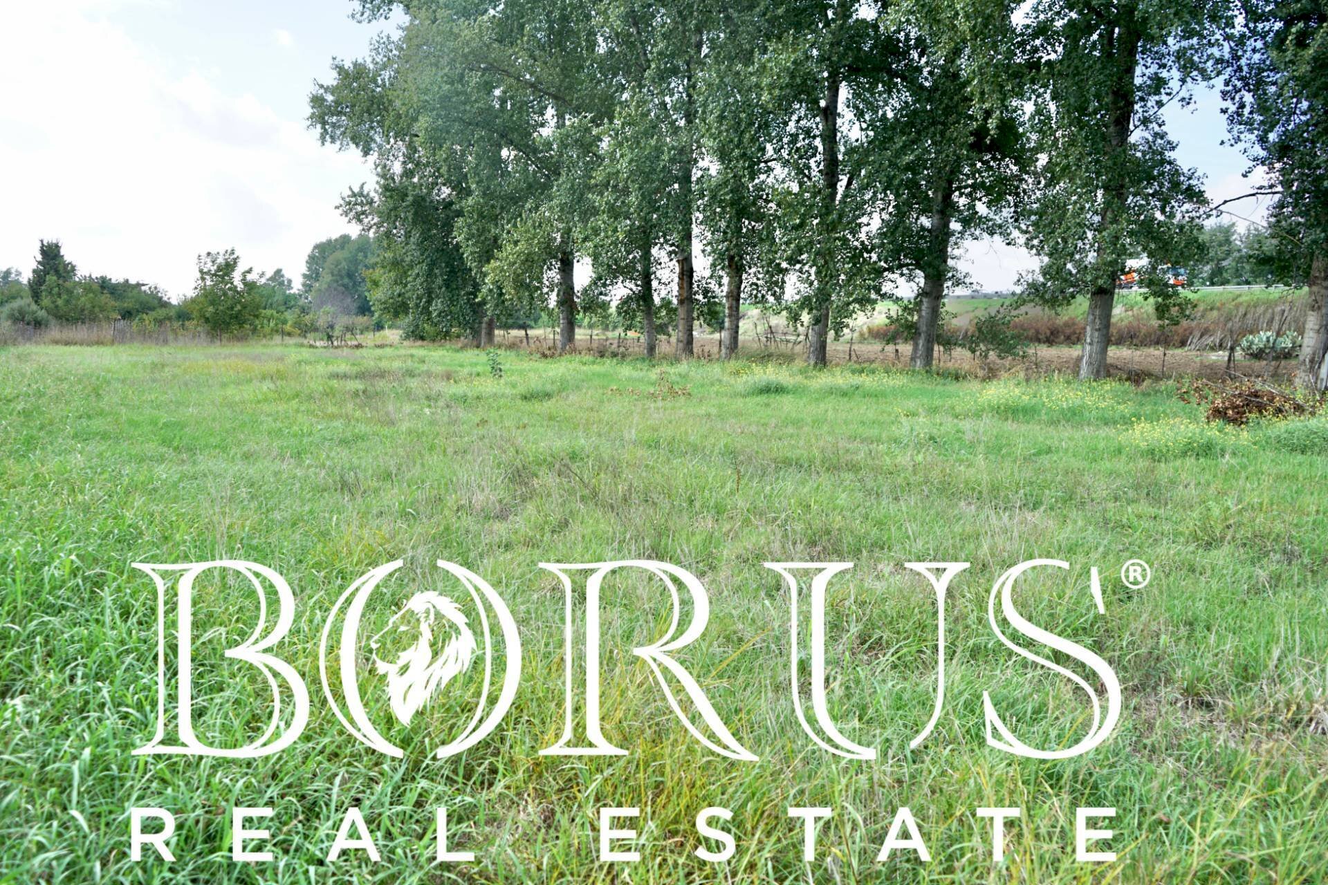 Foto 3 - Agricultural land Casal di Principe - photo 3