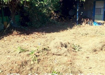 Foto 3 - Terreno agricolo Via Appia, Giugliano in Campania - foto 3