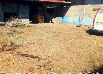 Foto 5 - Terreno agricolo Via Appia, Giugliano in Campania - foto 5