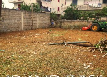 Foto 9 - Terreno agricolo Via Appia, Giugliano in Campania - foto 9