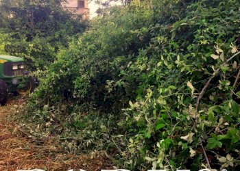 Foto 10 - Terreno agricolo Via Appia, Giugliano in Campania - foto 10