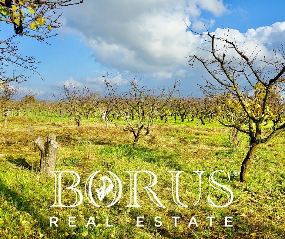 Foto 1 - Agricultural land Teverola - photo 1