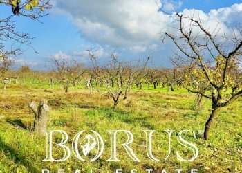 Foto 1 - Agricultural land Teverola - photo 1