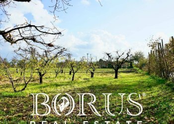 Foto 14 - Agricultural land Teverola - photo 14