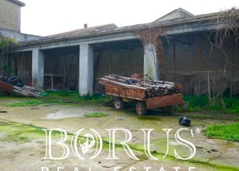 Foto 12 - Rustico via delle Rose, Casal di Principe - foto 12