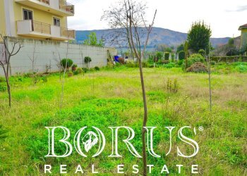 Foto 6 - Terreno edificabile Camigliano - foto 6