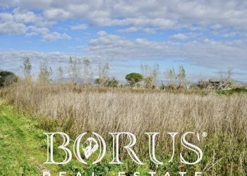 Foto 3 - Terreno edificabile Villa Literno - foto 3