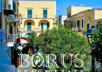 Foto 18 - Casa indipendente Ischia - foto 18