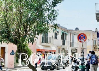 Foto 28 - Casa indipendente Ischia - foto 28