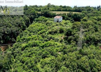 Foto 3 - Casa indipendente Sarego - foto 3