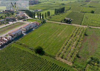 Foto 2 - Terreno edificabile Gambellara - foto 2