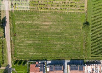 Foto 3 - Terreno edificabile Gambellara - foto 3