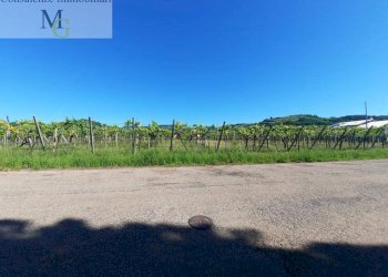 Foto 4 - Terreno edificabile Gambellara - foto 4