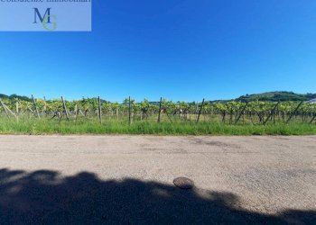 Foto 5 - Terreno edificabile Gambellara - foto 5