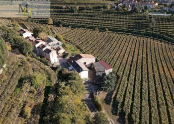 Foto 2 - Rustico Soave - foto 2