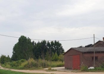 Foto 3 - Terreno agricolo Belfiore - foto 3