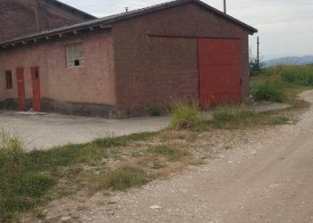 Foto 4 - Terreno agricolo Belfiore - foto 4