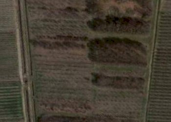 Foto 1 - Terreno agricolo Belfiore - foto 1