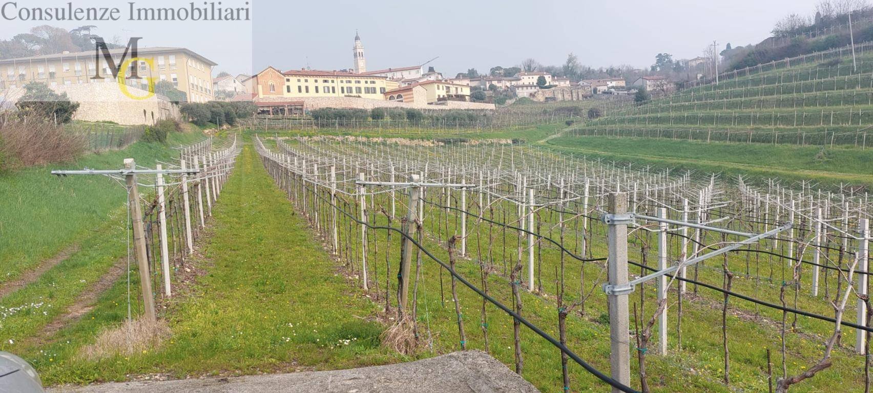 Foto 2 - Agricultural land Colognola ai Colli - photo 2