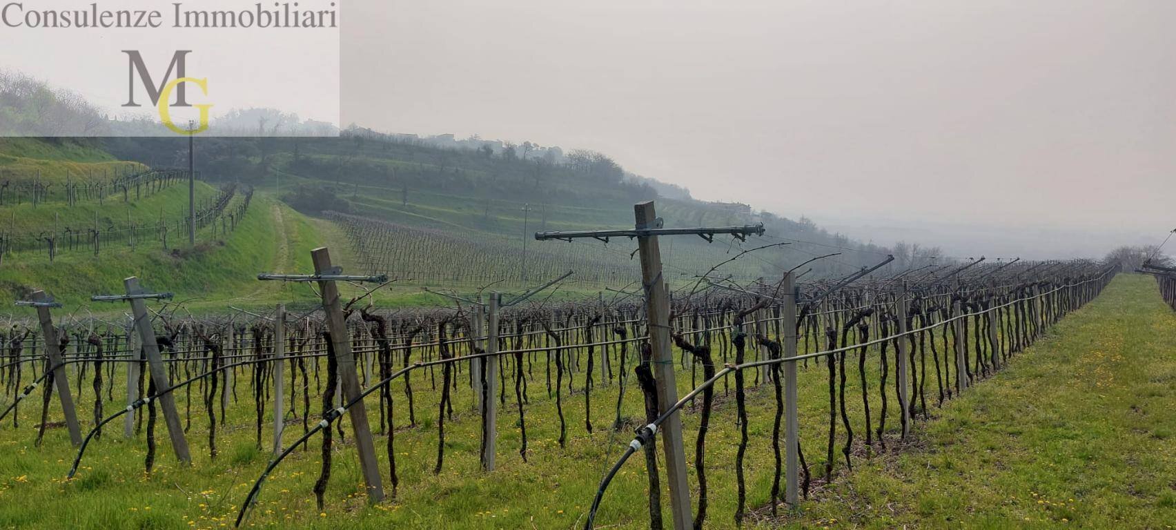 Foto 3 - Agricultural land Colognola ai Colli - photo 3