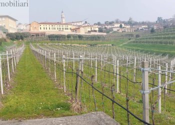 Foto 2 - Terreno agricolo Colognola ai Colli - foto 2