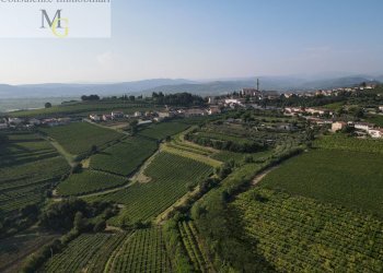 Foto 9 - Terreno agricolo Colognola ai Colli - foto 9