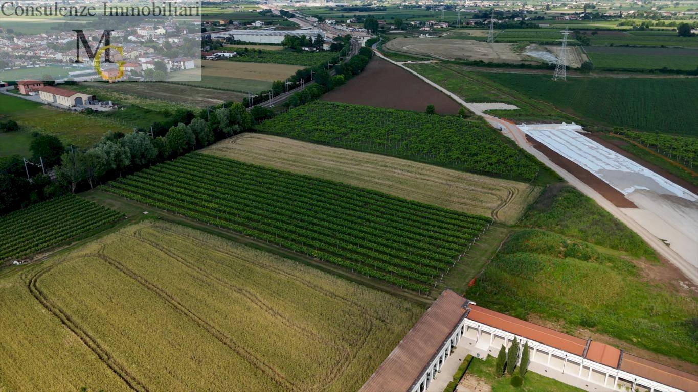 Foto 1 - Terreno agricolo San Bonifacio - foto 1