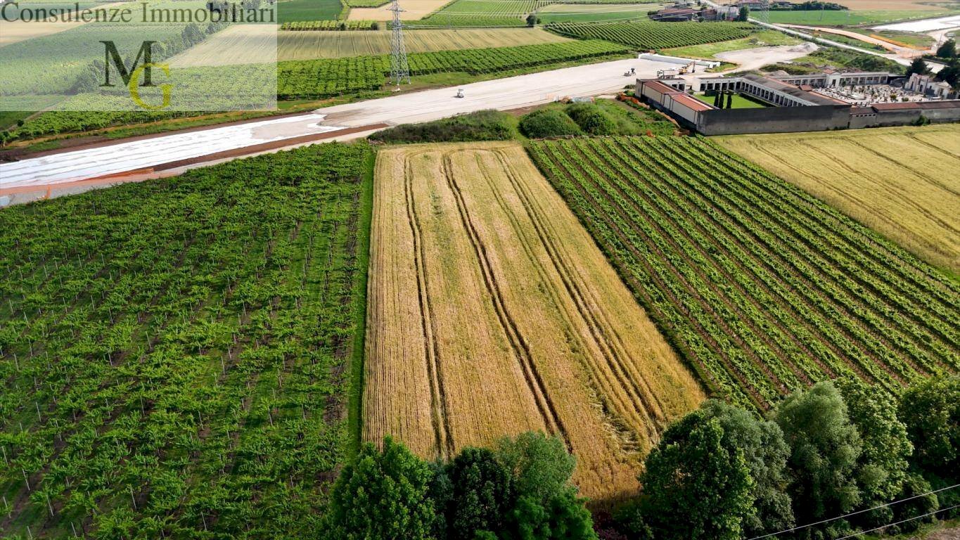 Foto 3 - Terreno agricolo San Bonifacio - foto 3