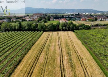 Foto 2 - Terreno agricolo San Bonifacio - foto 2