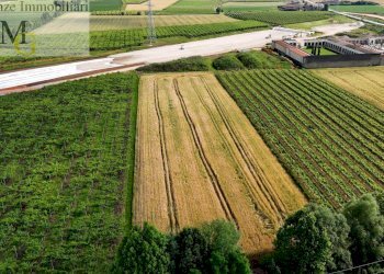 Foto 3 - Terreno agricolo San Bonifacio - foto 3