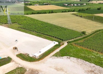 Foto 4 - Terreno agricolo San Bonifacio - foto 4